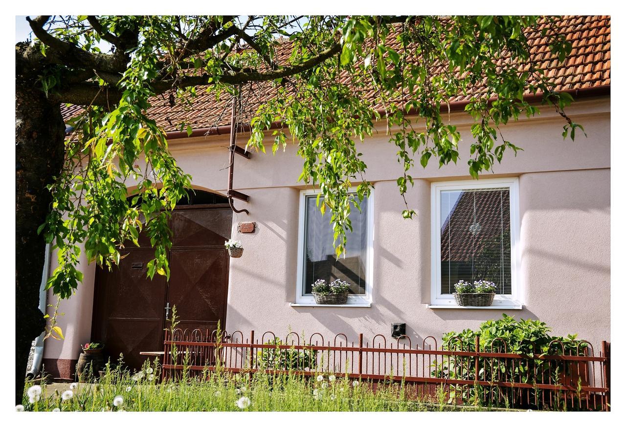 Отель Ubytovani U Trati Моравска-Нова-Вес Экстерьер фото
